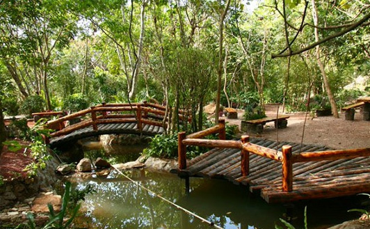 �������ֲ����