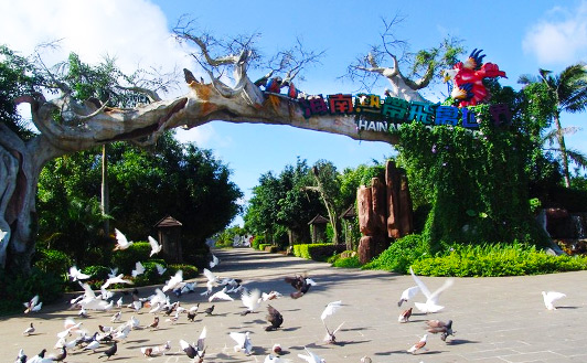 �����ȴ���������