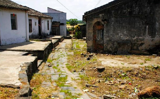 �����ų�