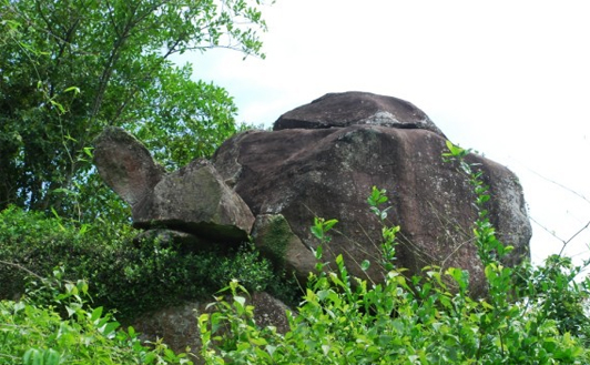 �������棨��ʯ��