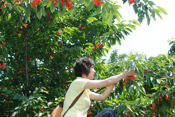 ����ӣ�ҽ�