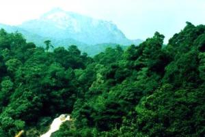 ������Ұɽ