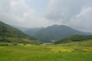 ���ҹ���ɭ�ֹ�԰