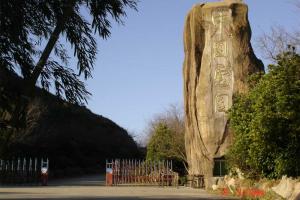 ����÷��ɽԤ��