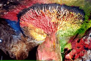 �������Ƕ�Ԥ��