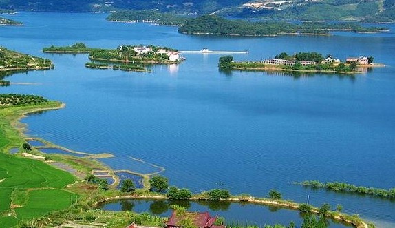 ���´�����Ԥ��