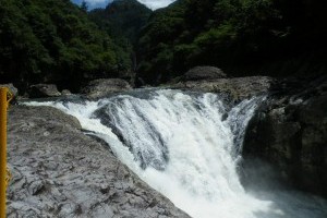 ����ԧ��ϪԤ��