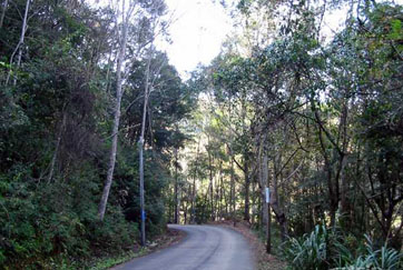 �����ľ��