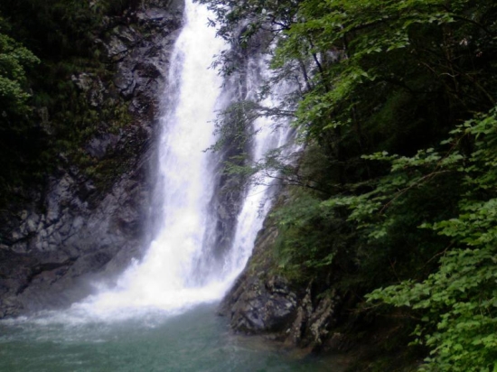 ��������ԴԤ��