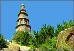 ���ݶ�����