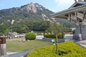 �����ƶ���