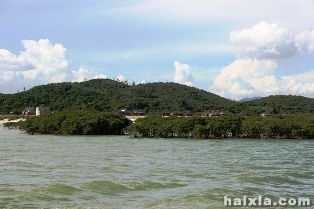 ���ݺ���ɭ��