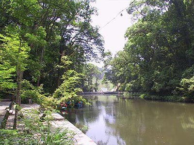 ������������Ȼ������Ԥ��