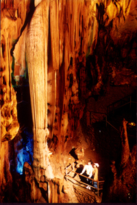 ������춴Ԥ��