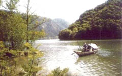 �����ܲ����ľ��Ȼ������