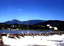 ����ľ����