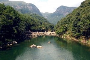 ���������Ԥ��