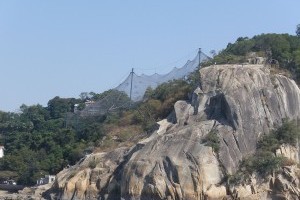 ������԰