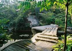 ������ʯ��