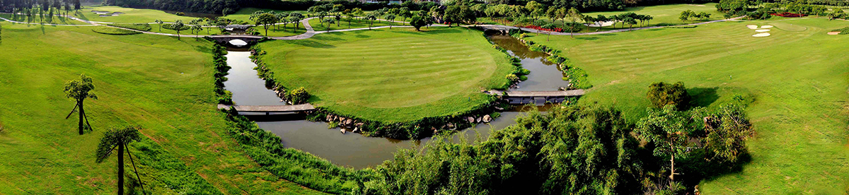 ���ſ���߶�����