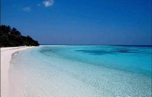 ���Ż�������ԡ��