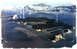 ���Ż�������̬��԰