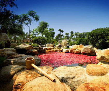 �������¹���Ȫ�ȼٴ�Ԥ��