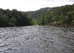 ������ͷɭ�ֹ�԰Ԥ��