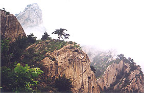 ��������ɽ