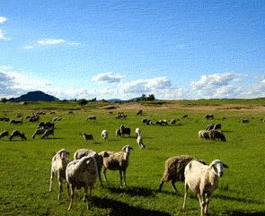 ���쿵����ԭ