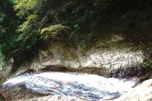 ���������ٲ�