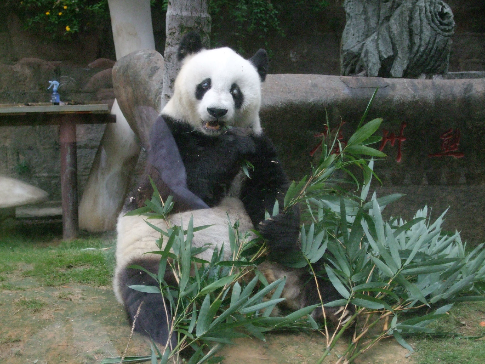 ������è����