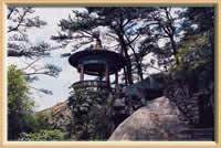 ���ݴ�Ħ��ʮ�˾�