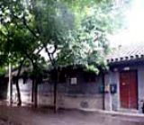 ������»��լ