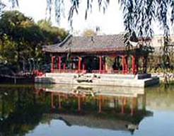 ���������Ӹ�