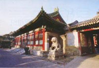 ������¸�