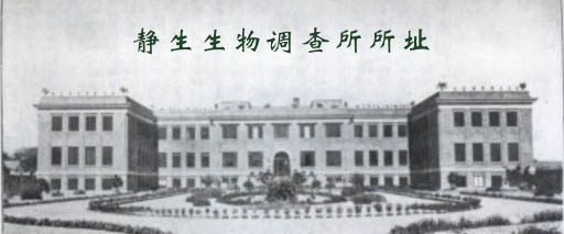 �������������������ַ