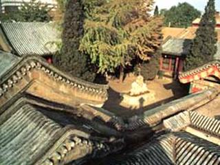 �����¸�·20���ĺ�Ժ