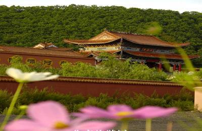 ������ʥ��