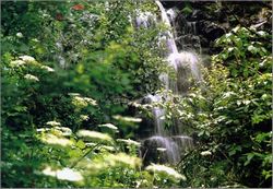 ��ͷ���ٻ�ɽ