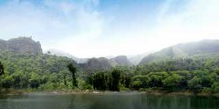 ����ϼ�������ɭ�ֹ�԰