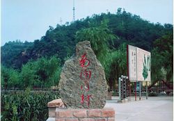 ��ƽ���¿��Ϲ�