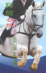 ����������ʿ������������