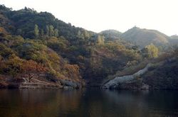 ����ƻ��ǳ���