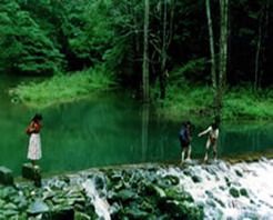 ���ӱ���԰