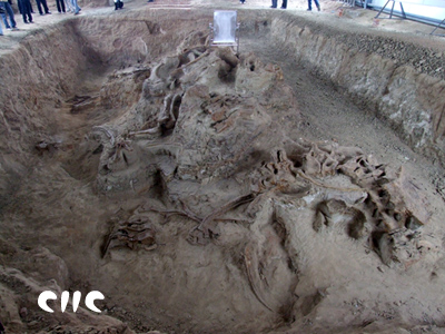 ���տ�����ʯ��ַ