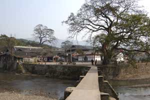 ����ƫ�ҹ���