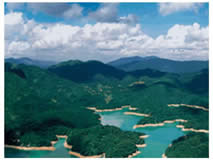 �ӻ�������ɭ�ֹ�԰