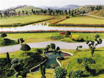 ����ԣ��¡��԰