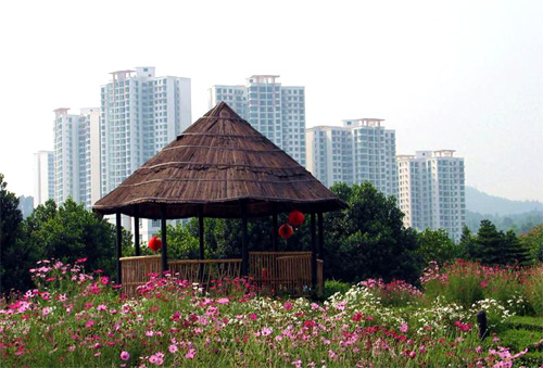 ��خ����ũׯ